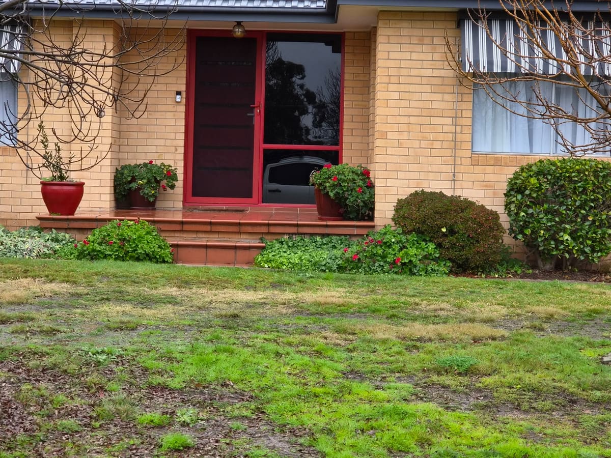 Front steps retiled before